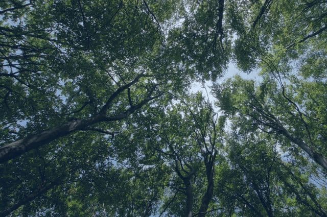 como viajar medio ambiente Viajar y Viajes
