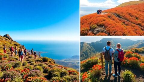 22 lugares que ver en la palma islas canarias Viajar y Viajes