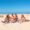 playas cerca de msterdam descubre las mejores opciones Viajar y Viajes