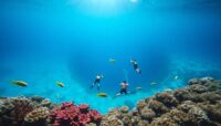 bucear en el blue hole de belice guia completa Viajar y Viajes