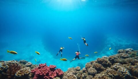 bucear en el blue hole de belice guia completa Viajar y Viajes