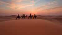 paseo en camello en merzouga la experiencia unica en el desierto Viajar y Viajes