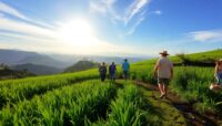 caminar por los arrozales en bali una experiencia unica Viajar y Viajes