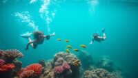 consejos para hacer submarinismo en arrecifes virgenes Viajar y Viajes