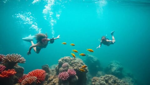 consejos para hacer submarinismo en arrecifes virgenes Viajar y Viajes