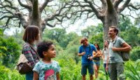 consejos para hacer turismo sostenible en madagascar Viajar y Viajes