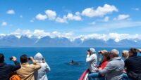 mejores rutas de observacion de ballenas en alaska Viajar y Viajes