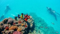 mejores sitios para bucear en isla de komodo Viajar y Viajes