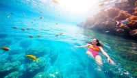 nadar en la gran barrera de coral guia y consejos Viajar y Viajes