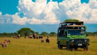 safari en jeep por el serengueti aventura unica en tanzania Viajar y Viajes